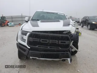 2019 Ford F-150 Raptor with VIN 1FTFW1RG0KFC64432, listed as a Copart auction lot 48307085 with 51,780 mi miles and Salvage Title. Bid and sale history available at carsss.com. Image 5.