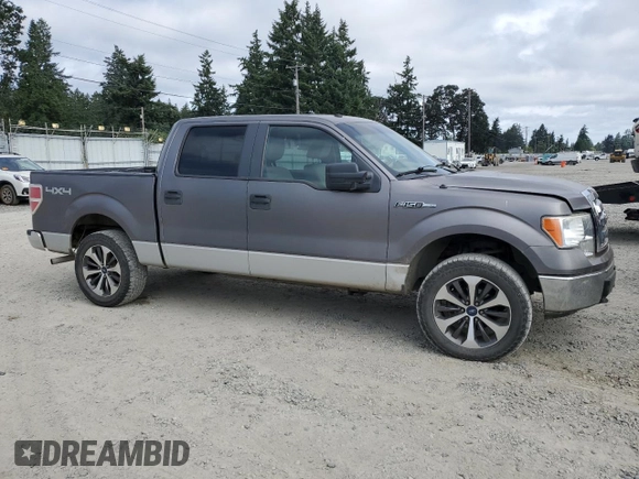 2009 Ford F-150 XL с VIN 1FTPW14V69FA77815, выставлен на аукционе Copart как лот 65020375 с пробегом 273 313 миль миль и Чистый • Clean title. История ставок и продаж доступна на DreamBid. Изображение 4.