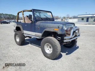 1995 Jeep Wrangler with VIN 1J4FY29S2SP309833, listed as a Copart auction lot 48493855 with 50,188 mi miles and Clean Title. Bid and sale history available at carsss.com. Image 4.