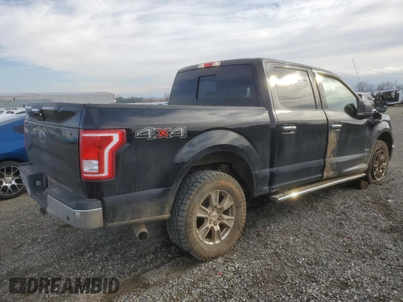 2017 Ford F-150 XL with VIN 1FTEW1EG4HKD19708, listed as a Copart auction lot 45772345 with 103,279 mi miles and Clean Title. Bid and sale history available at DreamBid. Image 3.