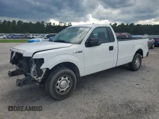 2013 Ford F-150 XL z VIN 1FTMF1CM9DKD99618, wystawiony jako Copart lot #56336075 z przebiegiem 178 188 mil mil oraz Szkoda całkowita • Salvage title. Historia ofert i sprzedaży dostępna na DreamBid. Obrazek 1.
