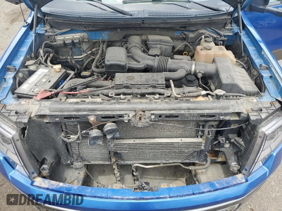 2010 Ford F-150 XL with VIN 1FTFW1EV3AFD05879, listed as a Copart auction lot 62861385 with 214,540 mi miles and Clean title. Bid and sale history available at DreamBid. Image 11.