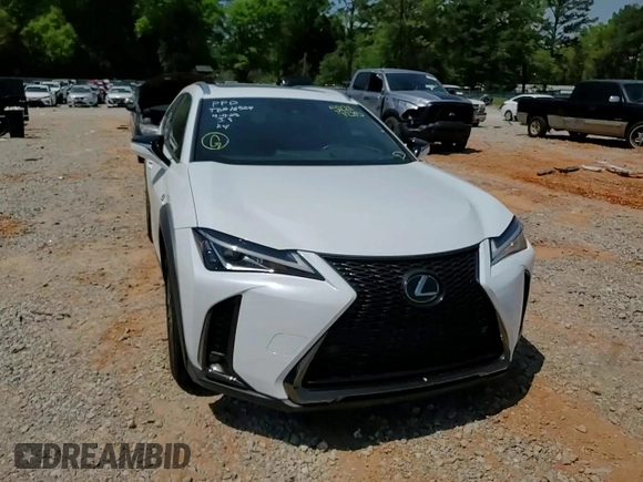 2019 Lexus UX 200 with VIN JTHY3JBH0K2019012, listed as a Copart auction lot 52217285 with 40,617 mi miles and Salvage title. Bid and sale history available at DreamBid. Image 12.
