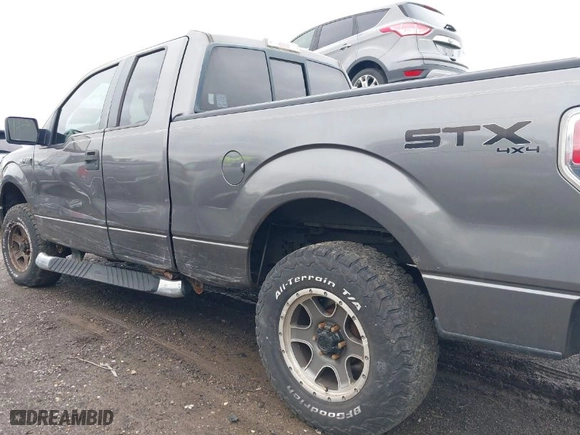 2009 Ford F-150 STX with VIN 1FTRX14869FA09093, listed as a IAAI auction lot 41921152 with 173,744 mi miles. Bid and sale history available at carsss.com. Image 12.