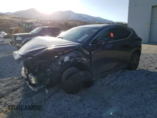 2024 Lexus NX with VIN 2T2GGCEZ0RC036790, listed as a Copart auction lot 44315165 with 0 mi miles and Salvage Title. Bid and sale history available at carsss.com. Image 1.