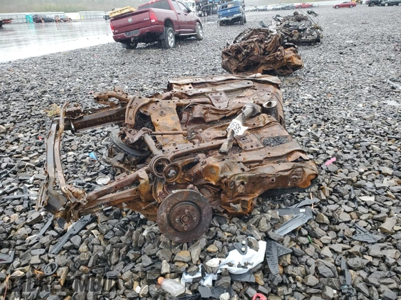 2013 MINI Hardtop John Cooper Works with VIN WMWSU9C57DT722320, listed as a Copart auction lot 55982615 with Not provided miles and Salvage title. Bid and sale history available at DreamBid. Image 2.