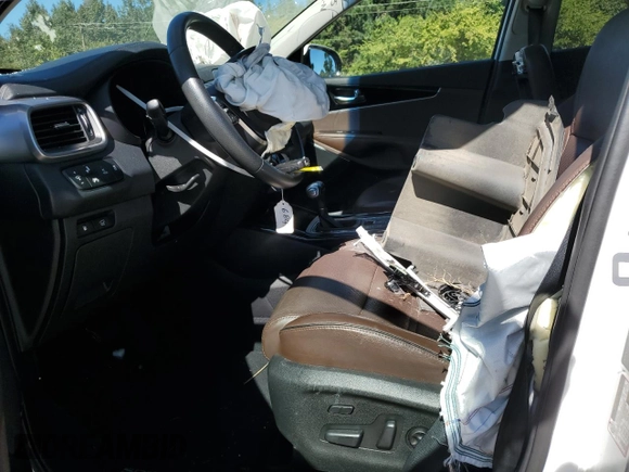 2019 Kia Sorento SX Limited with VIN 5XYPKDA57KG510157, listed as a Copart auction lot 75607024 with Not Provided miles and Salvage Title. Bid and sale history available at DreamBid. Image 7.