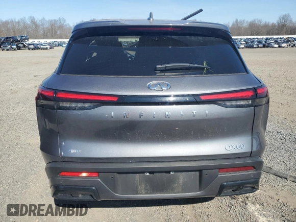 2024 Infiniti QX60 Pure with VIN 5N1DL1ES1RC346333, listed as a Copart auction lot 48746075 with Not provided miles and Salvage title. Bid and sale history available at DreamBid. Image 6.