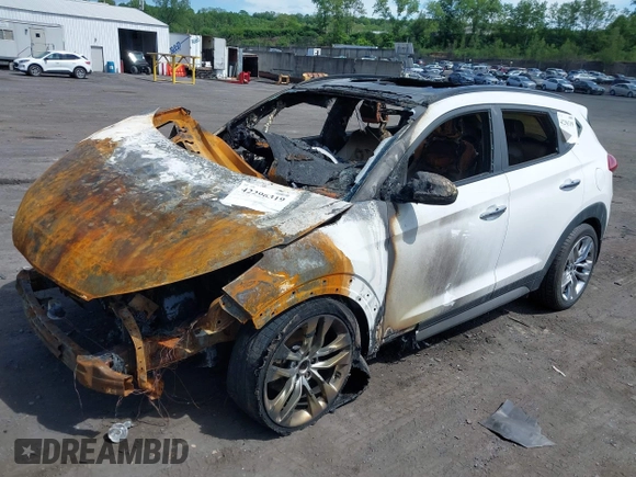 2017 Hyundai Tucson Limited z VIN KM8J3CA24HU301528, wystawiony jako IAAI lot #42296319 z przebiegiem Nie podano mil oraz . Historia ofert i sprzedaży dostępna na DreamBid. Obrazek 2.