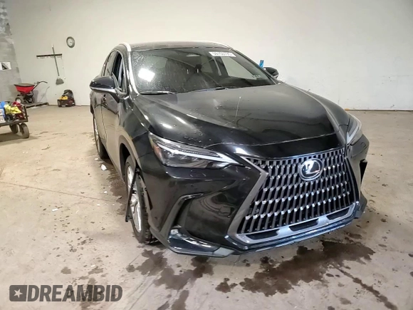 2024 Lexus NX 350 Luxury with VIN 2T2HGCEZ7RC034667, listed as a Copart auction lot 59150195 with 16,675 mi miles and Salvage title. Bid and sale history available at DreamBid. Image 14.