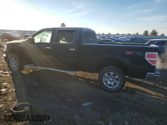 2010 Ford F-150 XL with VIN 1FTFW1EV9AFD21293, listed as a Copart auction lot 77943404 with 123,165 mi miles and Salvage title. Bid and sale history available at DreamBid. Image 2.