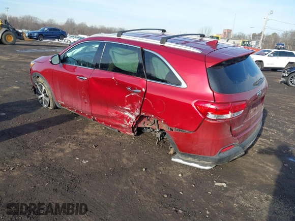 2017 Kia Sorento EX with VIN 5XYPHDA51HG313606, listed as a IAAI auction lot 41203028 with 46 mi miles and . Bid and sale history available at DreamBid. Image 3.