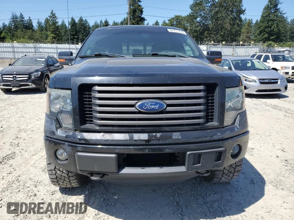 2011 Ford F-150 XLT with VIN 1FTFW1ET2BFC73510, listed as a Copart auction lot 64771215 with 198,379 mi miles and Clean title. Bid and sale history available at DreamBid. Image 5.