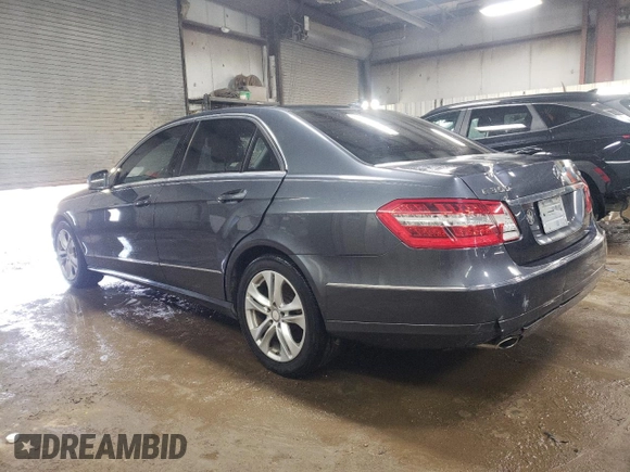 2010 Mercedes-Benz E 350 Luxury with VIN WDDHF8HB3AA142060, listed as a Copart auction lot 46491945 with 141,321 mi miles and Salvage Title. Bid and sale history available at DreamBid. Image 2.