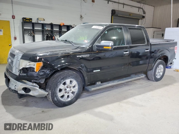 2011 Ford F-150 XLT with VIN 1FTFW1ETXBFC82438, listed as a Copart auction lot 41609085 with 235,212 mi miles and Salvage Title. Bid and sale history available at carsss.com. Image 1.