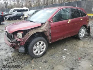 2009 Honda CR-V EX with VIN 5J6RE48559L046039, listed as a Copart auction lot 43125035 with 124,417 mi miles and Salvage Title. Bid and sale history available at carsss.com. Image 1.