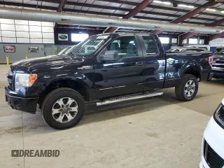 2012 Ford F-150 XL with VIN 1FTFX1EF8CFB49668, listed as a Copart auction lot 59544925 with 208,343 mi miles and Clean title. Bid and sale history available at DreamBid. Image 1.