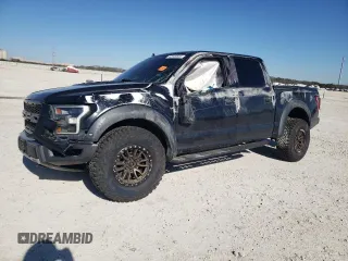 2019 Ford F-150 Raptor with VIN 1FTFW1RG0KFB43691, listed as a Copart auction lot 42049535 with 174,785 mi miles and Salvage Title. Bid and sale history available at carsss.com. Image 1.