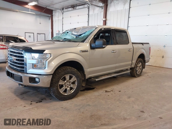 2017 Ford F-150 XL with VIN 1FTEW1EF9HFC07955, listed as a IAAI auction lot 41848255 with 196,125 mi miles. Bid and sale history available at carsss.com. Image 17.
