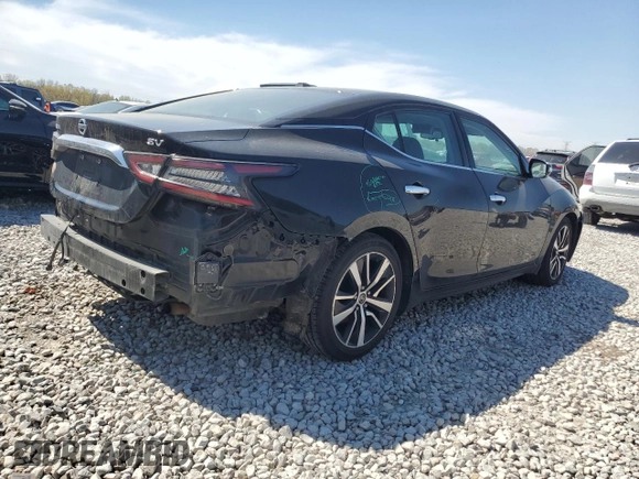 2021 Nissan Maxima SV with VIN 1N4AA6CV3MC514737, listed as a Copart auction lot 49444635 with 84,548 mi miles and Salvage title. Bid and sale history available at DreamBid. Image 3.