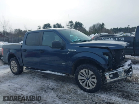 2016 Ford F-150 XLT with VIN 1FTEW1EP9GFD46412, listed as a IAAI auction lot 41539920 with 163,139 mi miles. Bid and sale history available at carsss.com. Image 13.
