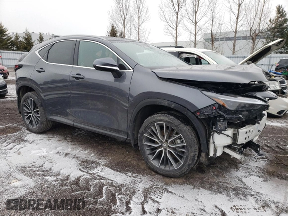2022 Lexus NX with VIN 2T2GKCEZ5NC006791, listed as a Copart auction lot 41875783 with 2,436 mi miles. Bid and sale history available at carsss.com. Image 4.