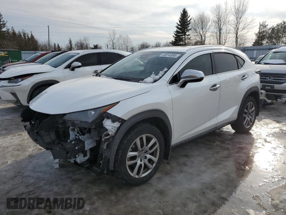 2020 Lexus NX 300 with VIN JTJGARDZ6L5014742, listed as a Copart auction lot 43014355 with 13,788 mi miles and Salvage title. Bid and sale history available at DreamBid. Image 1.