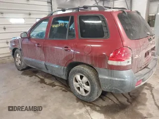 2005 Hyundai Santa Fe GLS with VIN KM8SC73EX5U935778, listed as a IAAI auction lot 41401893 with 248,365 mi miles. Bid and sale history available at carsss.com. Image 3.