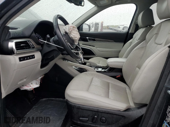2022 Kia Telluride EX with VIN 5XYP3DHC2NG255732, listed as a Copart auction lot 52604795 with 32,117 mi miles and Salvage title. Bid and sale history available at DreamBid. Image 7.