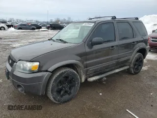2006 Ford Escape XLT с VIN 1FMYU93166KD45252, выставлен на аукционе Copart как лот 46330465 с пробегом 315 060 миль миль и Списание • Salvage title. История ставок и продаж доступна на DreamBid. Изображение 1.