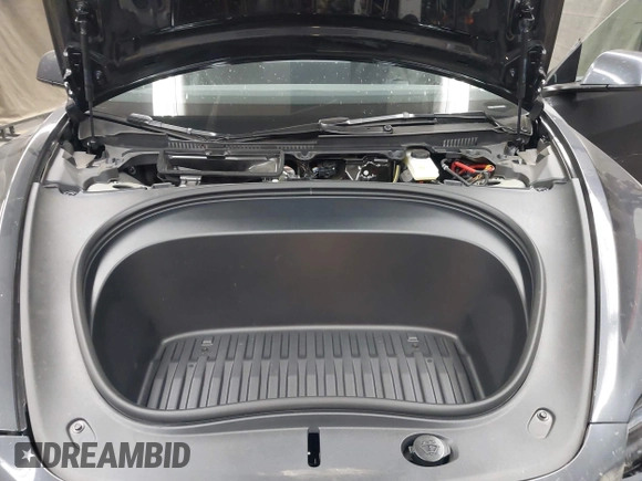 2025 Tesla Model 3 Long Range with VIN 5YJ3E1EA4SF952168, listed as a IAAI auction lot 42281783 with 3,926 mi miles and . Bid and sale history available at DreamBid. Image 10.
