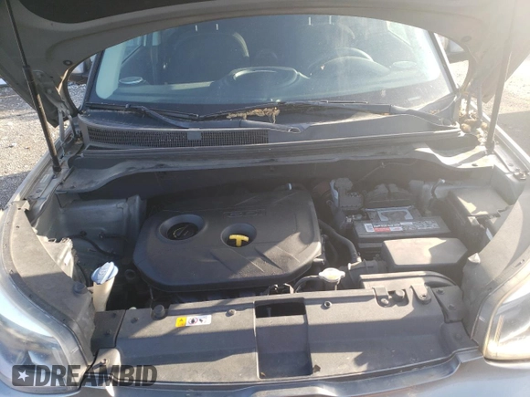2014 Kia Soul + with VIN KNDJP3A58E7032091, listed as a Copart auction lot 49492715 with 125,311 mi miles and Clean Title. Bid and sale history available at carsss.com. Image 12.
