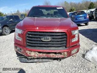 2016 Ford F-150 XLT with VIN 1FTEW1EF8GFB94842, listed as a Copart auction lot 49693255 with 105,289 mi miles and Salvage Title. Bid and sale history available at carsss.com. Image 5.