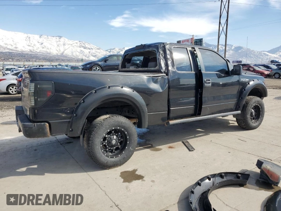 2009 Ford F-150 STX with VIN 1FTRX14W09FA24655, listed as a Copart auction lot 46085665 with Not Provided miles and Salvage Title. Bid and sale history available at DreamBid. Image 3.