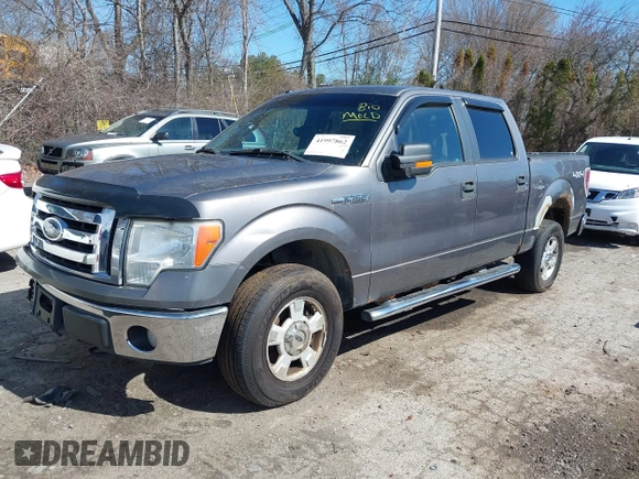2010 Ford F-150 XL with VIN 1FTFW1EV3AFB48239, listed as a IAAI auction lot 41997862 with 258,935 mi miles. Bid and sale history available at carsss.com. Image 2.