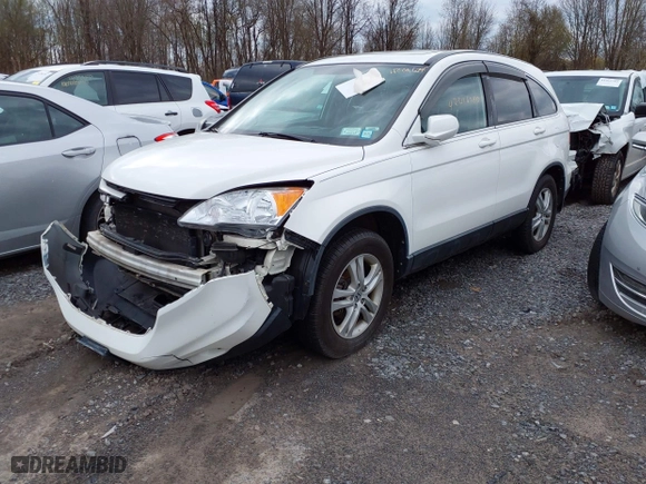 2010 Honda CR-V EX-L with VIN 5J6RE4H76AL025836, listed as a IAAI auction lot 42016790 with 142,956 mi miles. Bid and sale history available at carsss.com. Image 2.