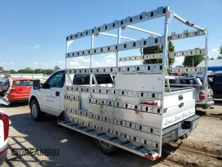 2013 Ford F-150 XL with VIN 1FTPF1CF3DKD91593, listed as a Copart auction lot 69015354 with 248,800 mi miles and Salvage title. Bid and sale history available at DreamBid. Image 2.