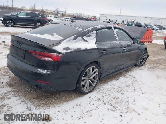 2019 Audi A5 Sportback Prestige with VIN WAUFNCF5XKA071183, listed as a IAAI auction lot 41336991 with 81,760 mi miles. Bid and sale history available at carsss.com. Image 4.