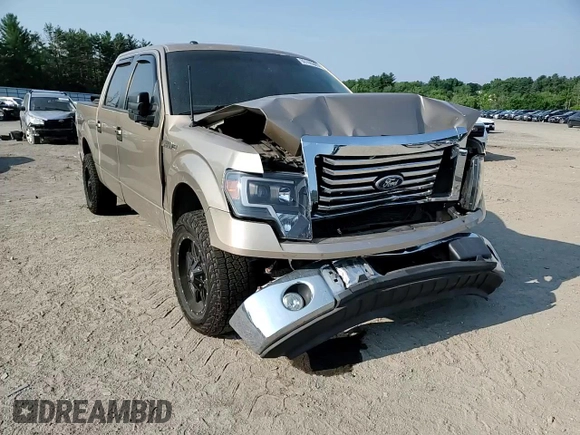 2011 Ford F-150 XL with VIN 1FTFW1CF0BKD10820, listed as a Copart auction lot 60195365 with 192,218 mi miles and Salvage title. Bid and sale history available at DreamBid. Image 13.