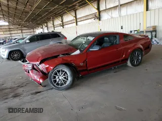 2009 Ford Mustang with VIN 1ZVHT80N695130771, listed as a Copart auction lot 61443035 with 150,245 mi miles and Salvage title. Bid and sale history available at DreamBid. Image 1.