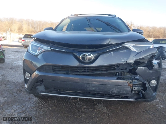 2017 Toyota RAV4 XLE with VIN 2T3RFREV9HW666120, listed as a IAAI auction lot 41641384 with 52,289 mi miles. Bid and sale history available at carsss.com. Image 6.
