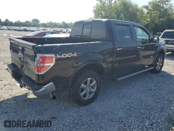 2013 Ford F-150 XL with VIN 1FTFW1ET8DKE61054, listed as a Copart auction lot 64204095 with 124,924 mi miles and Salvage title. Bid and sale history available at DreamBid. Image 3.