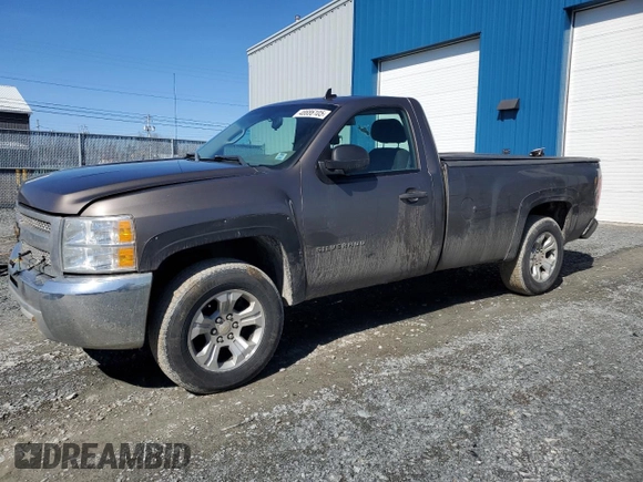 2012 Chevrolet Silverado 1500 Work Truck with VIN 1GCNKPEA4CZ226438, listed as a Copart auction lot 48886105 with 381,766 mi miles and Non Repairable. Bid and sale history available at DreamBid. Image 1.