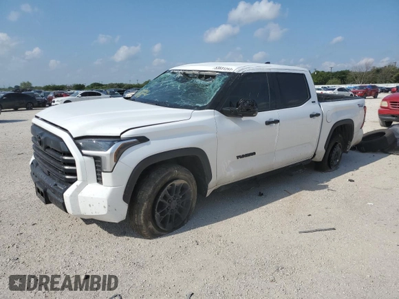 2022 Toyota Tundra 2WD SR5 with VIN 5TFLA5AB3NX011564, listed as a Copart auction lot 53831283 with 21,297 mi miles. Bid and sale history available at carsss.com. Image 1.