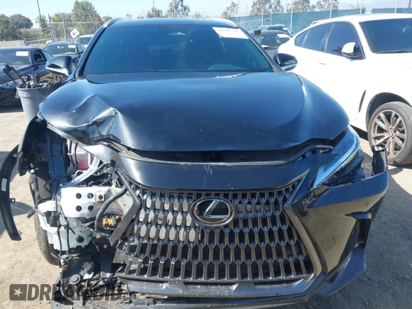 2025 Lexus NX 350h z VIN 2T2AKCEZ5SC035967, wystawiony jako IAAI lot #42301335 z przebiegiem 29 027 mil mil oraz . Historia ofert i sprzedaży dostępna na DreamBid. Obrazek 13.