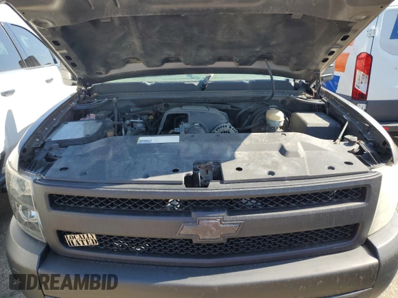 2007 Chevrolet Silverado 1500 Work Truck with VIN 1GCEK19C87E506319, listed as a Copart auction lot 48012335 with 206,815 mi miles and Salvage Title. Bid and sale history available at carsss.com. Image 13.