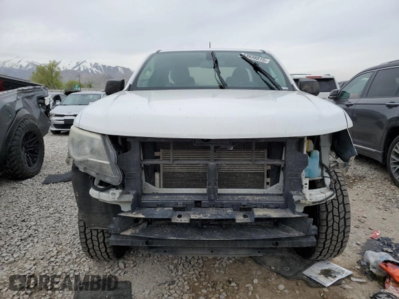 2017 Chevrolet Colorado 2WD WT with VIN 1GCHSBEA8H1329996, listed as a Copart auction lot 53938815 with Not provided miles and Salvage title. Bid and sale history available at DreamBid. Image 5.