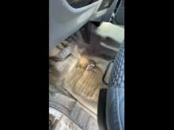 2013 Ford F-250 XL с VIN 1FDBF2B6XDEB43045, выставлен на аукционе IAAI как лот 42785434 с пробегом 607 408 миль миль и . История ставок и продаж доступна на DreamBid. Изображение 5.