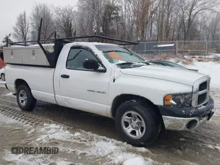 2002 Dodge 1500 with VIN 1D7HA16N72J250251, listed as a IAAI auction lot 41527456 with 218,870 mi miles and . Bid and sale history available at DreamBid. Image 6.