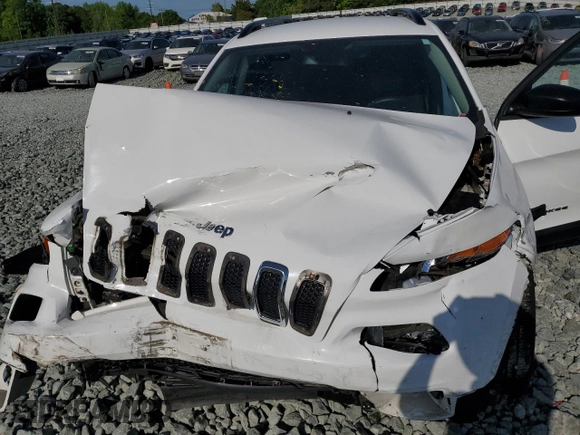 2016 Jeep Cherokee Sport with VIN 1C4PJMAB0GW286149, listed as a Copart auction lot 55111165 with Not provided miles and Salvage title. Bid and sale history available at DreamBid. Image 12.